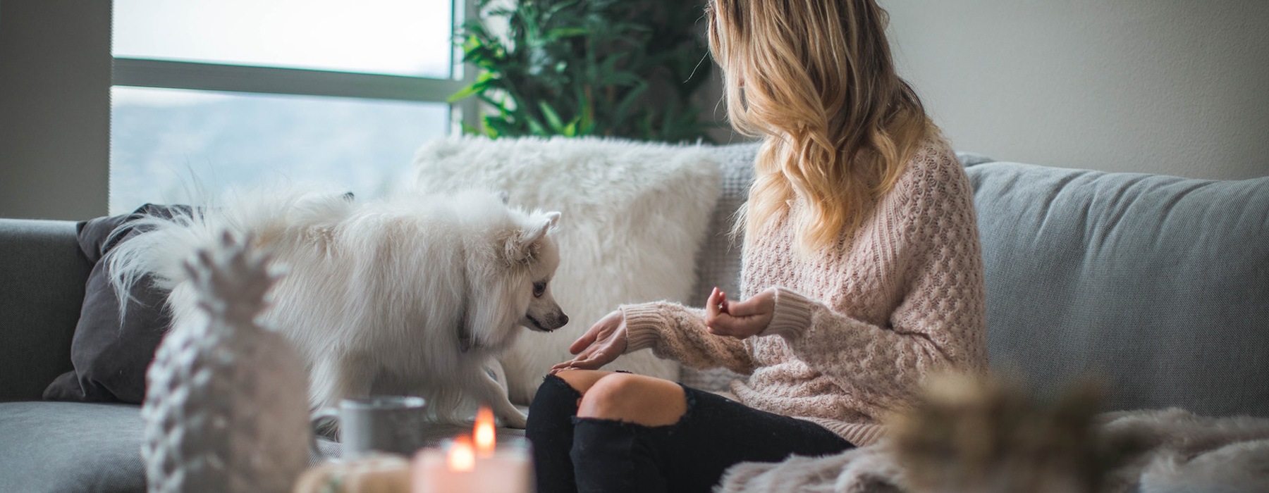 lifestyle image of a woman on a couch with her pet and some coffee